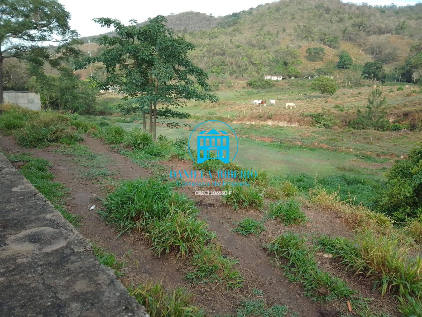 Terreno à venda, 65000m² - Foto 1