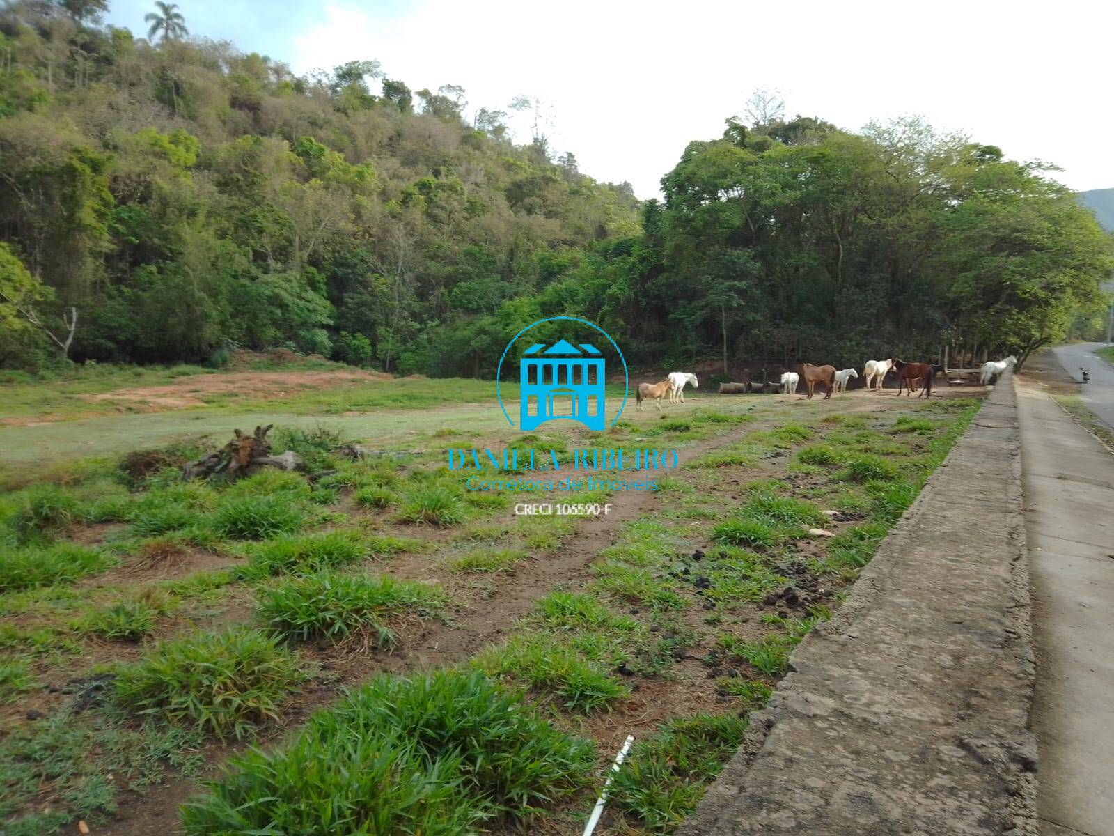 Terreno à venda, 65000m² - Foto 2