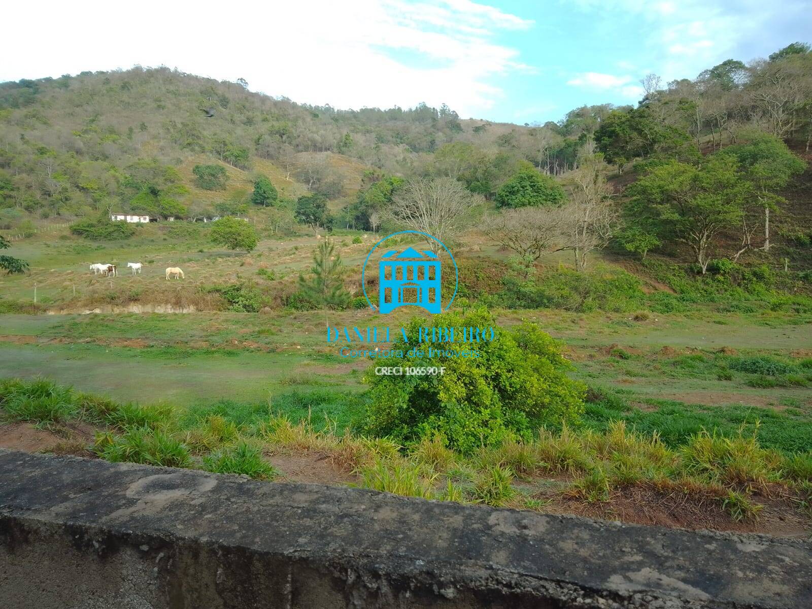 Terreno à venda, 65000m² - Foto 3